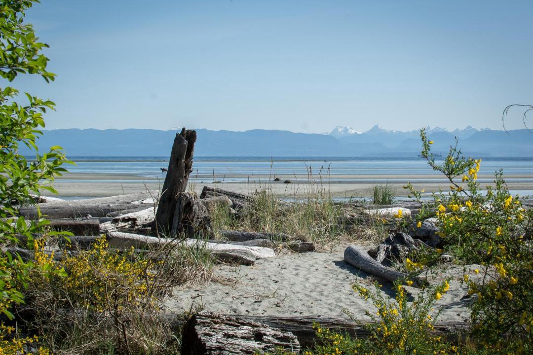 Comox House | Windslow Guest Suite at Kye Bay