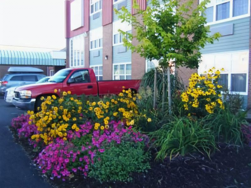 Photo of Others in Antigonish