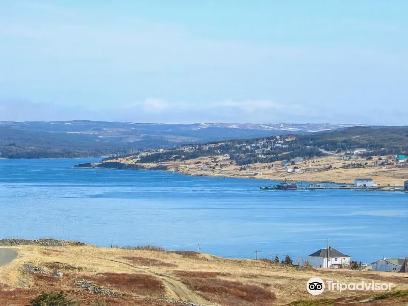 Photo of Outdoor in Trepassey