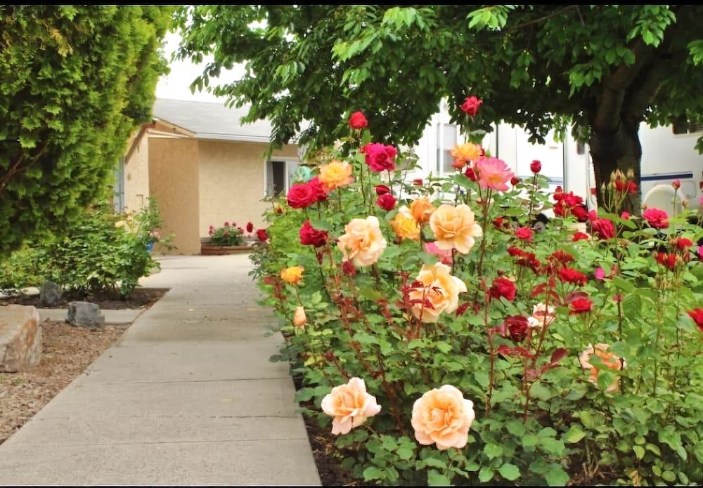 Photo of Others in Okanagan-Similkameen