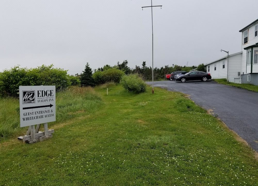 Photo of Buildings in Trepassey