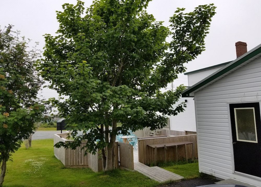 Photo of Buildings in Trepassey