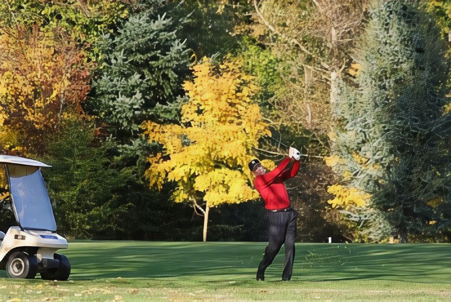 Photo of Outdoor in North Cowichan