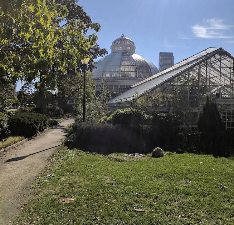 Photo of Buildings in Garden District