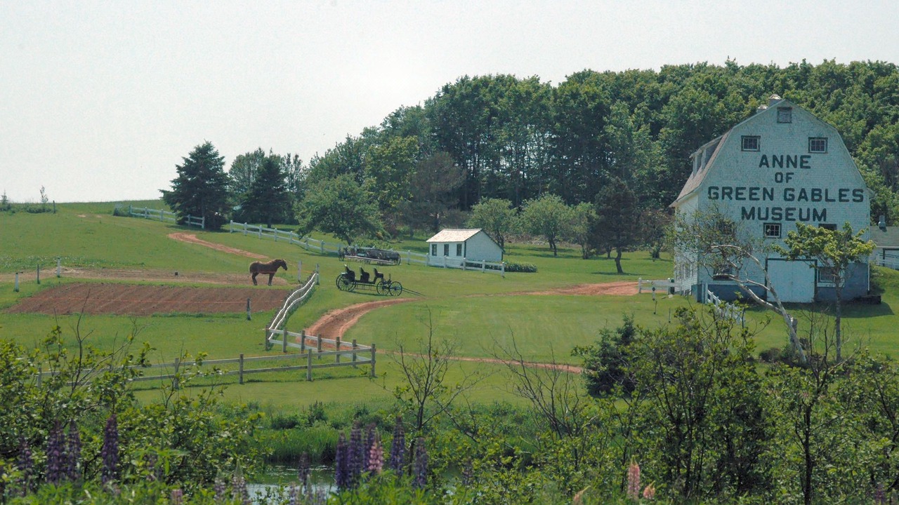 Photo of Others in Charlottetown