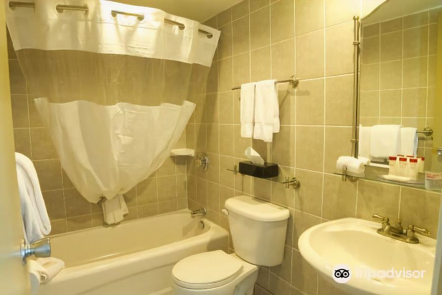 Photo of Bathroom in Jordan Harbour