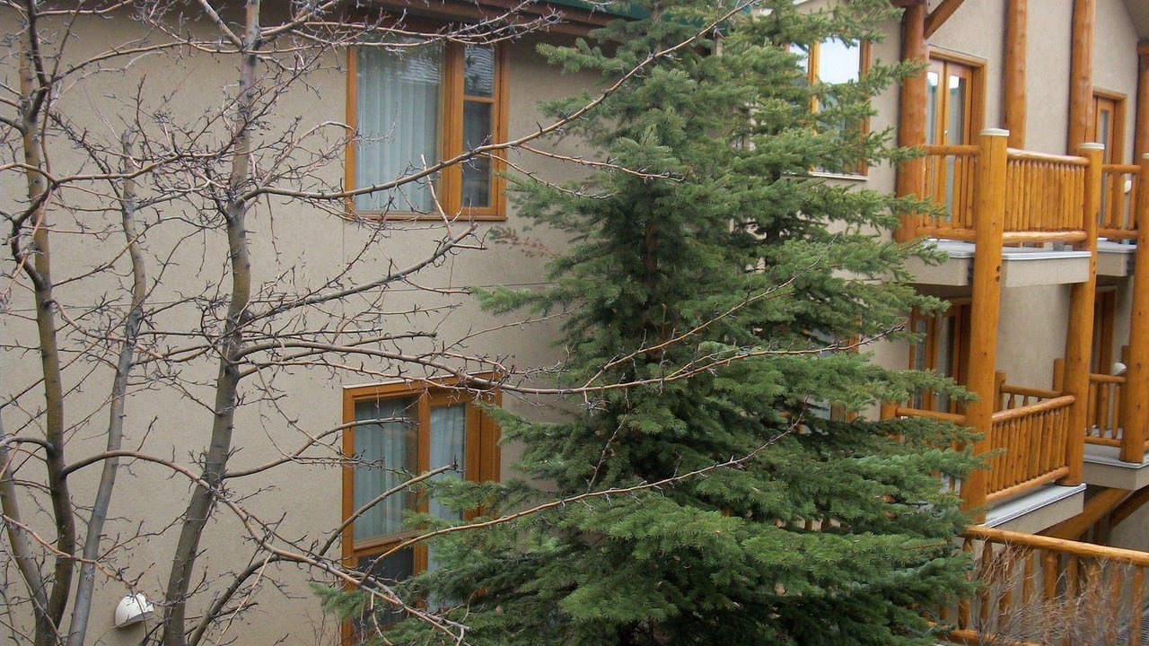 Photo of Buildings in Banff