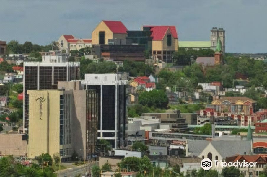 Photo of Buildings in Downtown St. John's