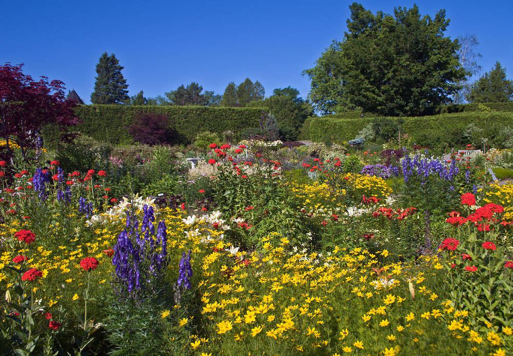 Photo of Outdoor in St. Andrews