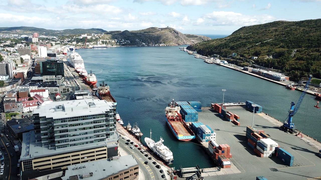 Photo of Human In Picture in Downtown St. John's