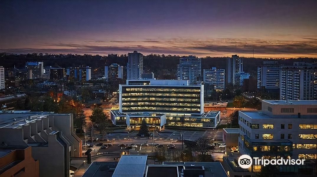 Photo of Others in Central Hamilton