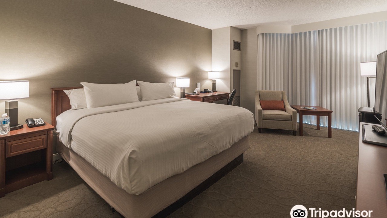 Photo of Bedroom in Downtown St. John's