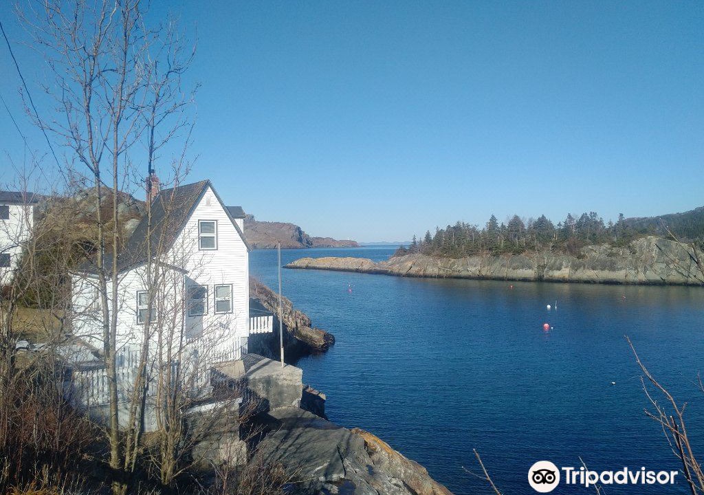 Photo of Outdoor in Downtown St. John's