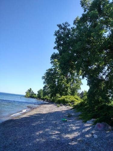 Photo of Others in Fort Erie