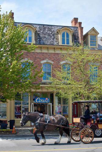 Photo of Others in Old Town Historic District
