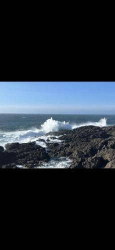 Photo of Others in Ucluelet
