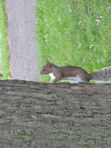 Photo of Others in Nouveau-Rosemont