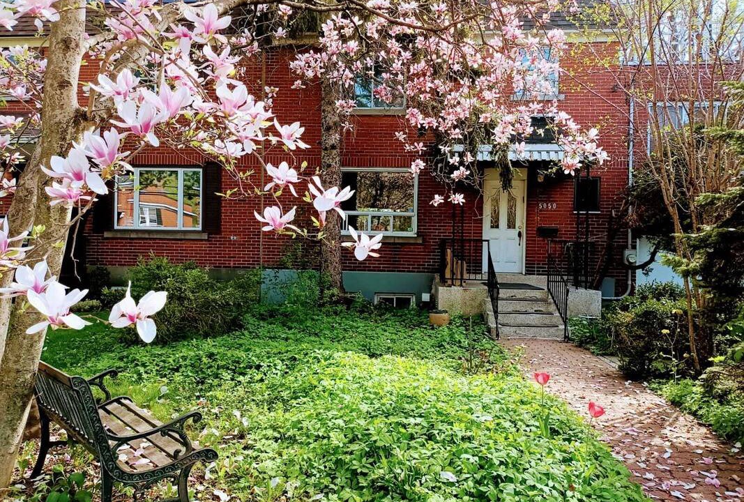 Photo of Others in Cote-Des-Neiges—Notre-Dame-De-Grace
