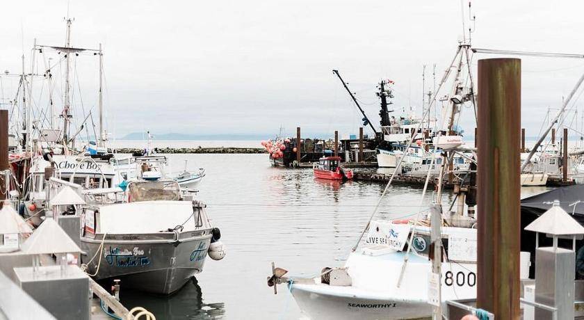 Photo of Others in Steveston