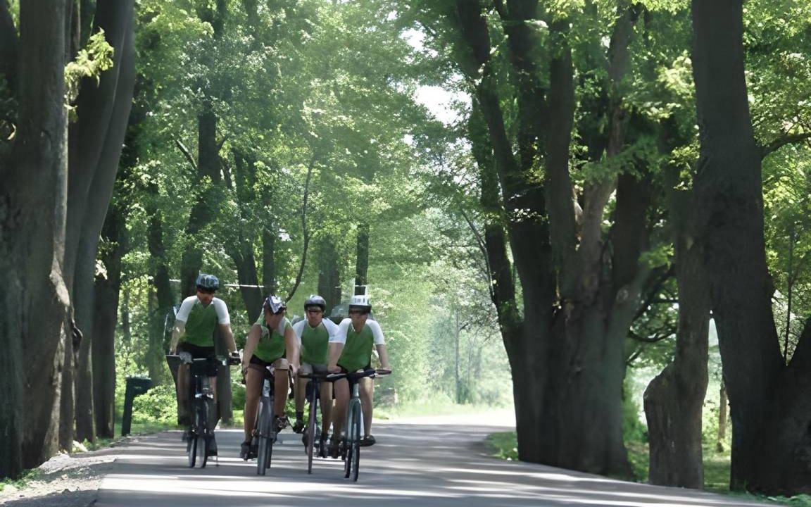 Photo of Others in Bromont