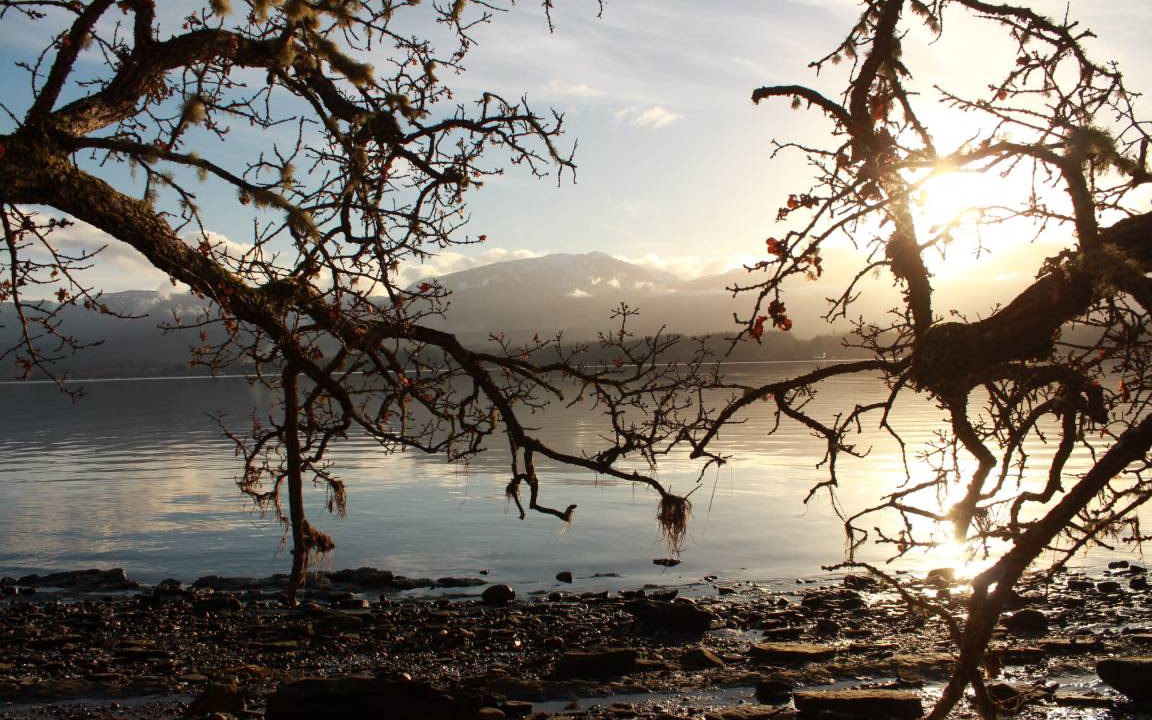 Photo of Others in Denman Island