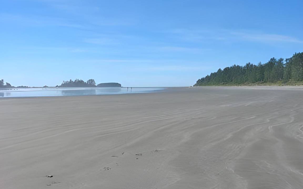 Photo of Others in Tofino