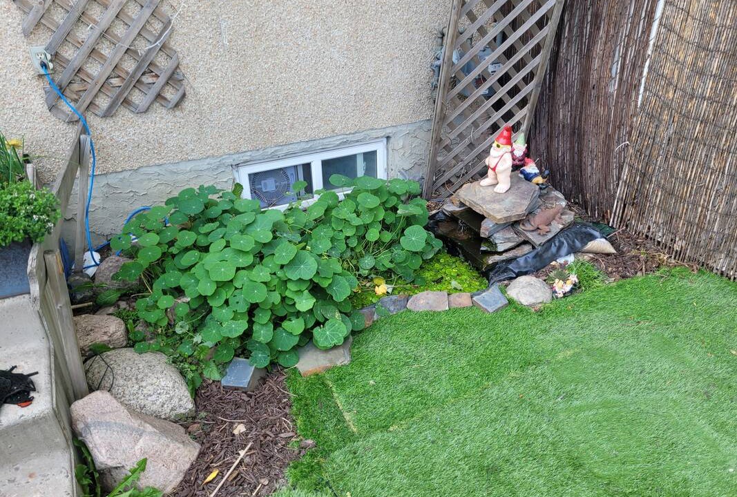 Photo of Others in Northwest Edmonton