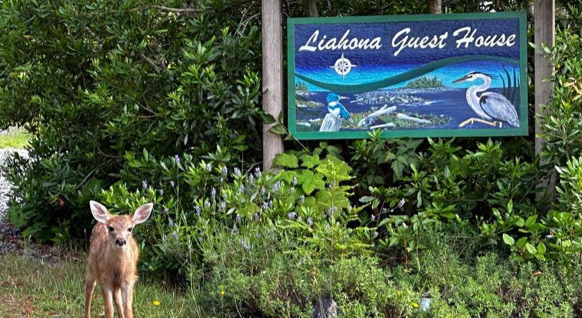 Photo of Others in Ucluelet