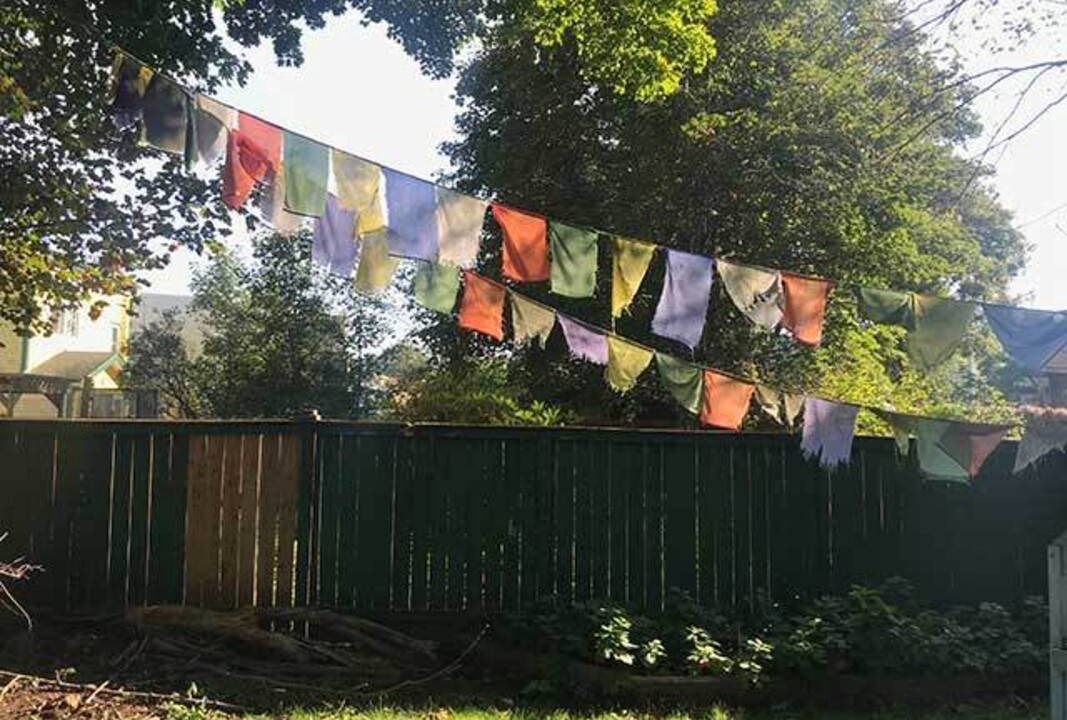 Photo of Others in North End