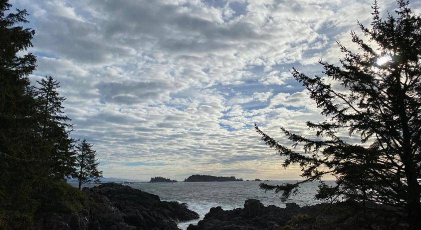Photo of Others in Ucluelet