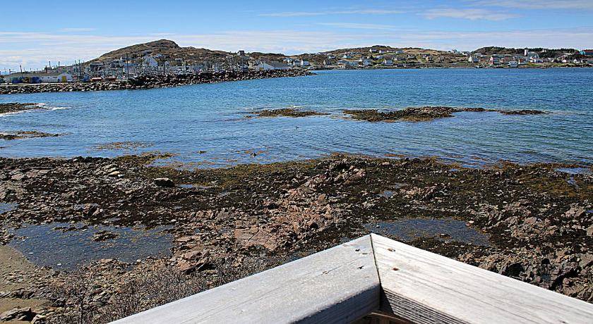 Photo of Others in Twillingate