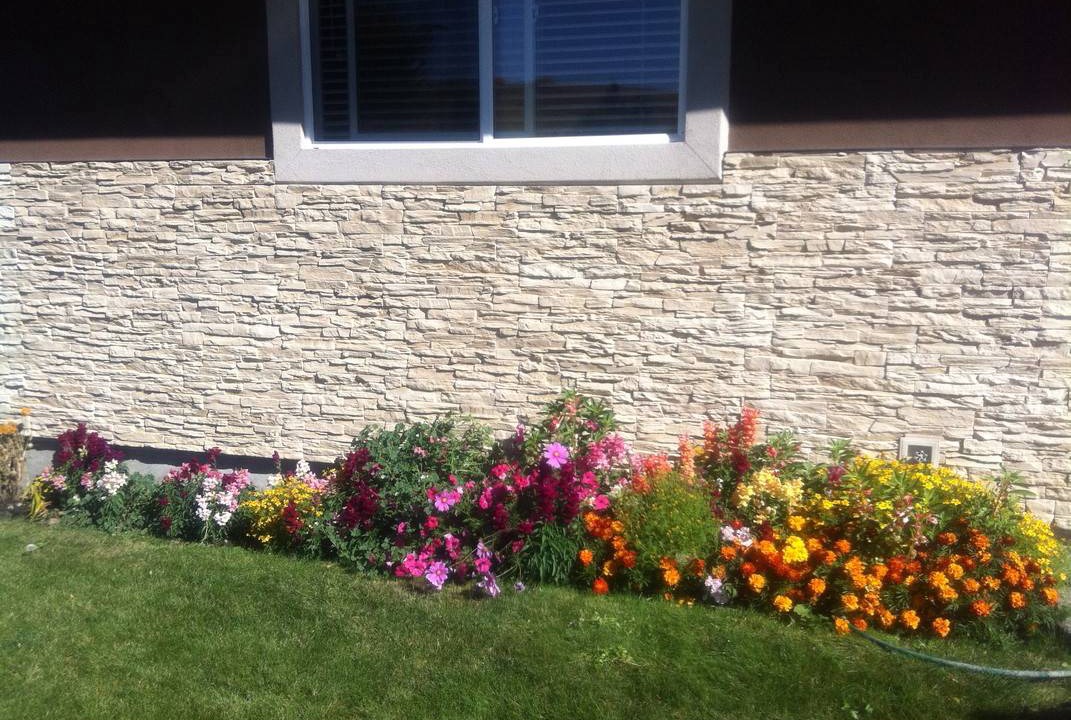 Photo of Others in Northwest Calgary