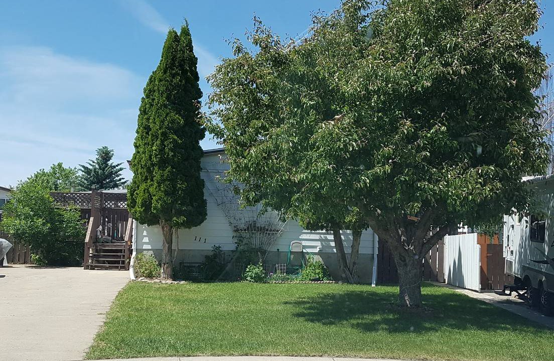 Photo of Others in Lethbridge