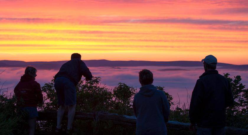 Photo of Others in Perce
