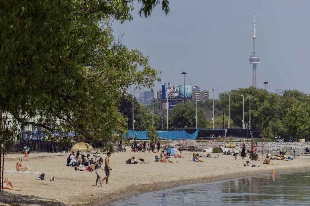 Photo of Others in Leslieville