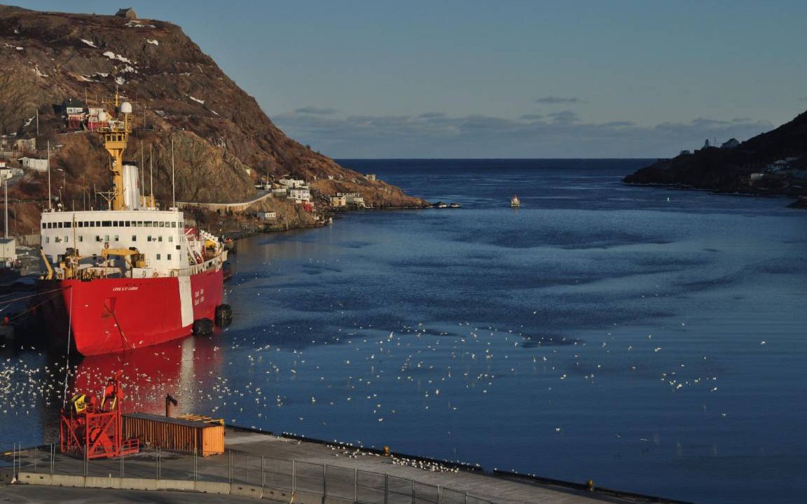 Photo of Others in Downtown St. John's