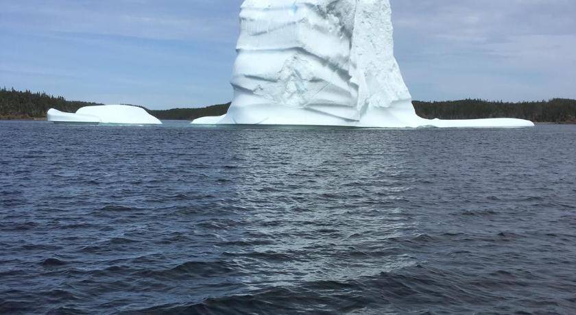 Photo of Others in Twillingate