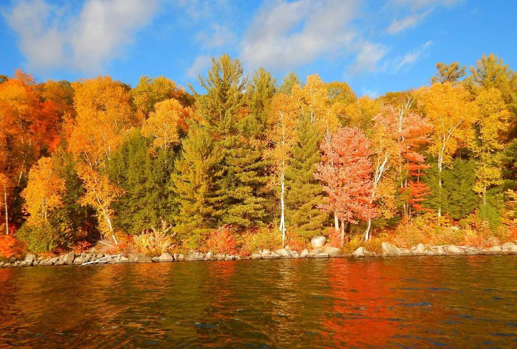 Photo of Others in Lac-Superieur