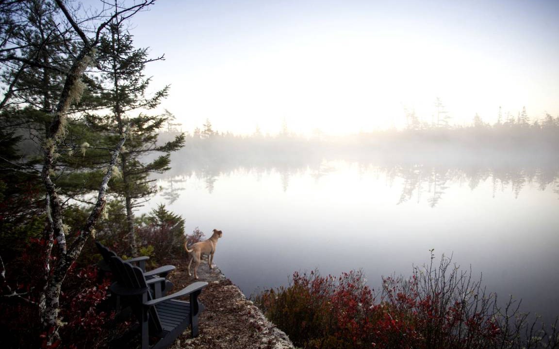 Photo of Others in Porters Lake