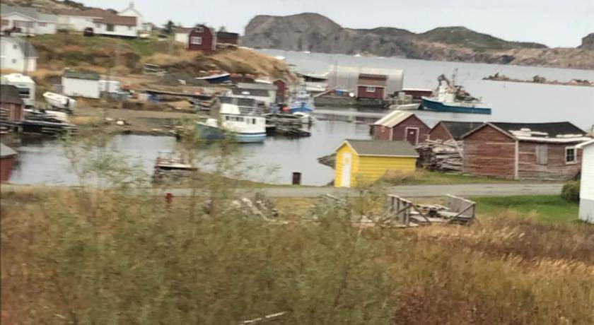 Photo of Buildings in Twillingate