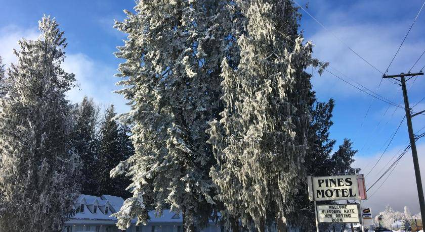 Photo of Others in Sicamous