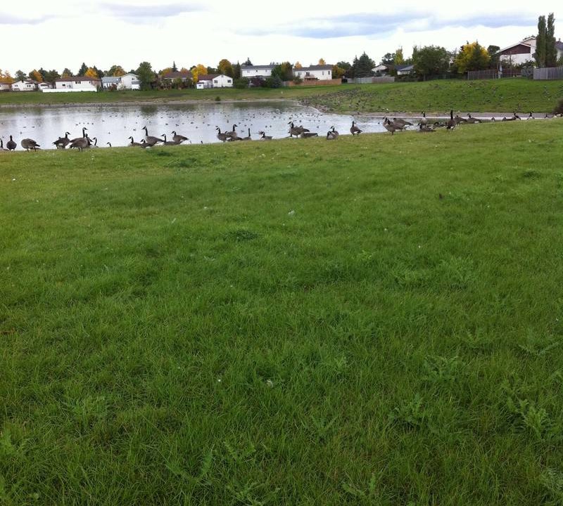 Photo of Others in Winnipeg