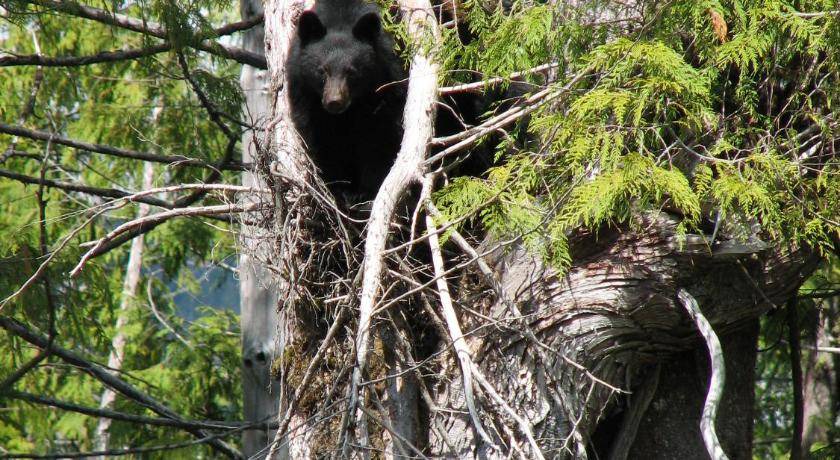 Photo of Others in Ucluelet