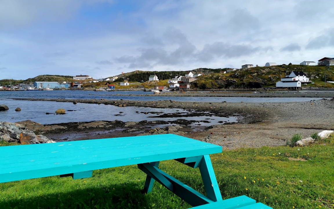 Photo of Others in Twillingate