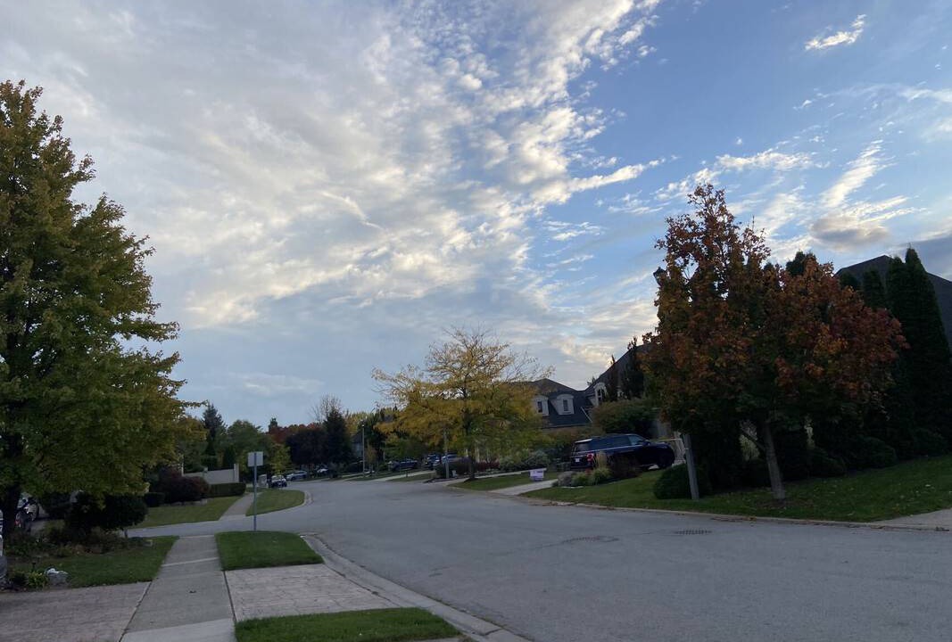 Photo of Others in St. Catharines