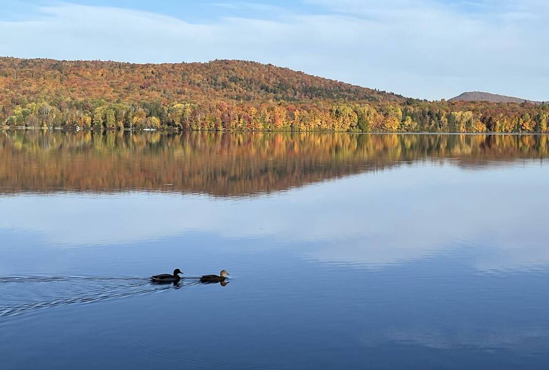 Photo of Others in Lac-Saint-Charles