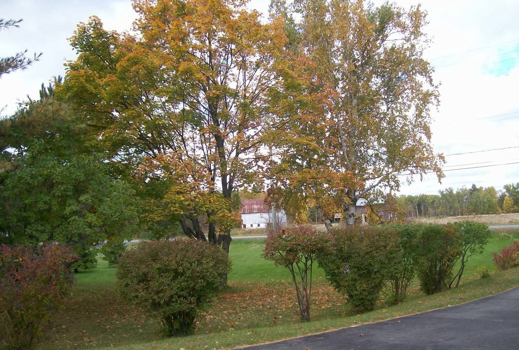Photo of Others in Quinte West
