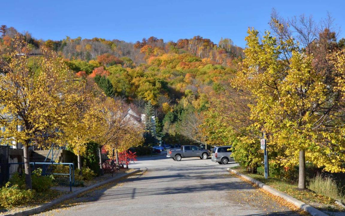 Photo of Others in Craigleith