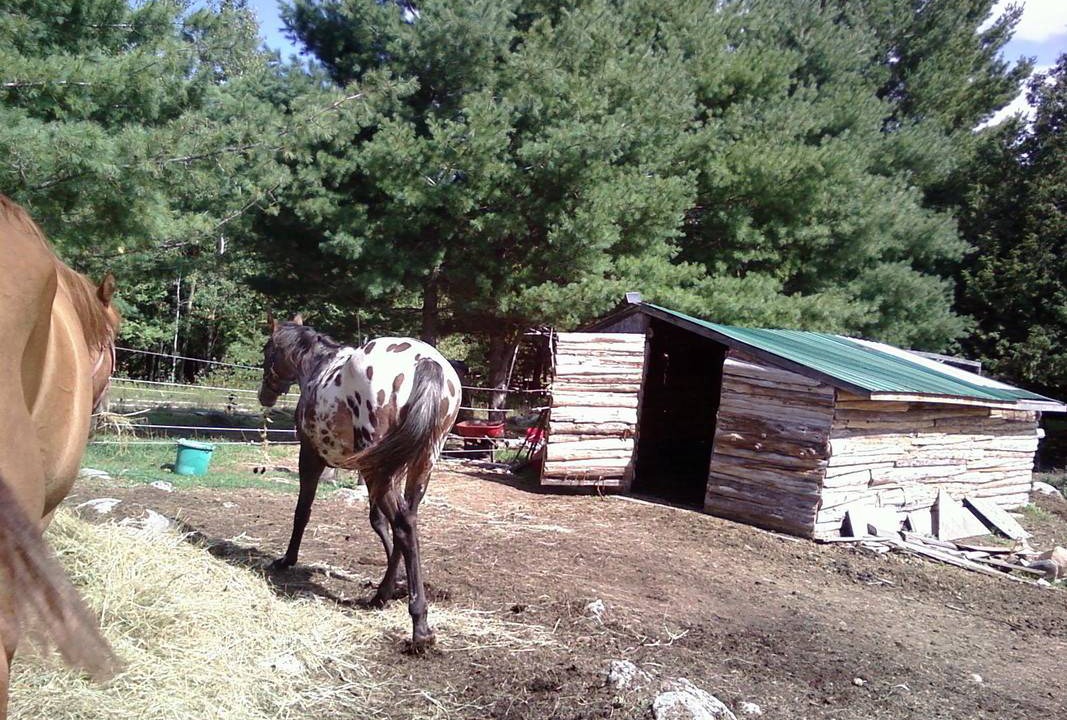 Photo of Others in Lanark Highlands