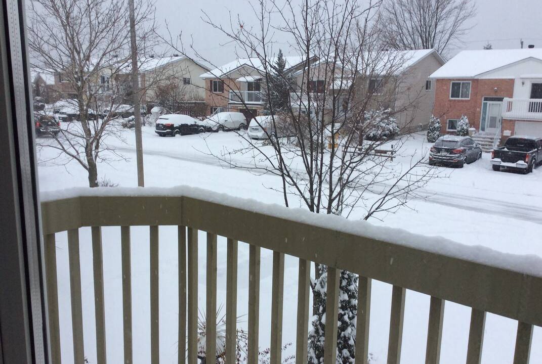 Photo of Others in Smiths Falls